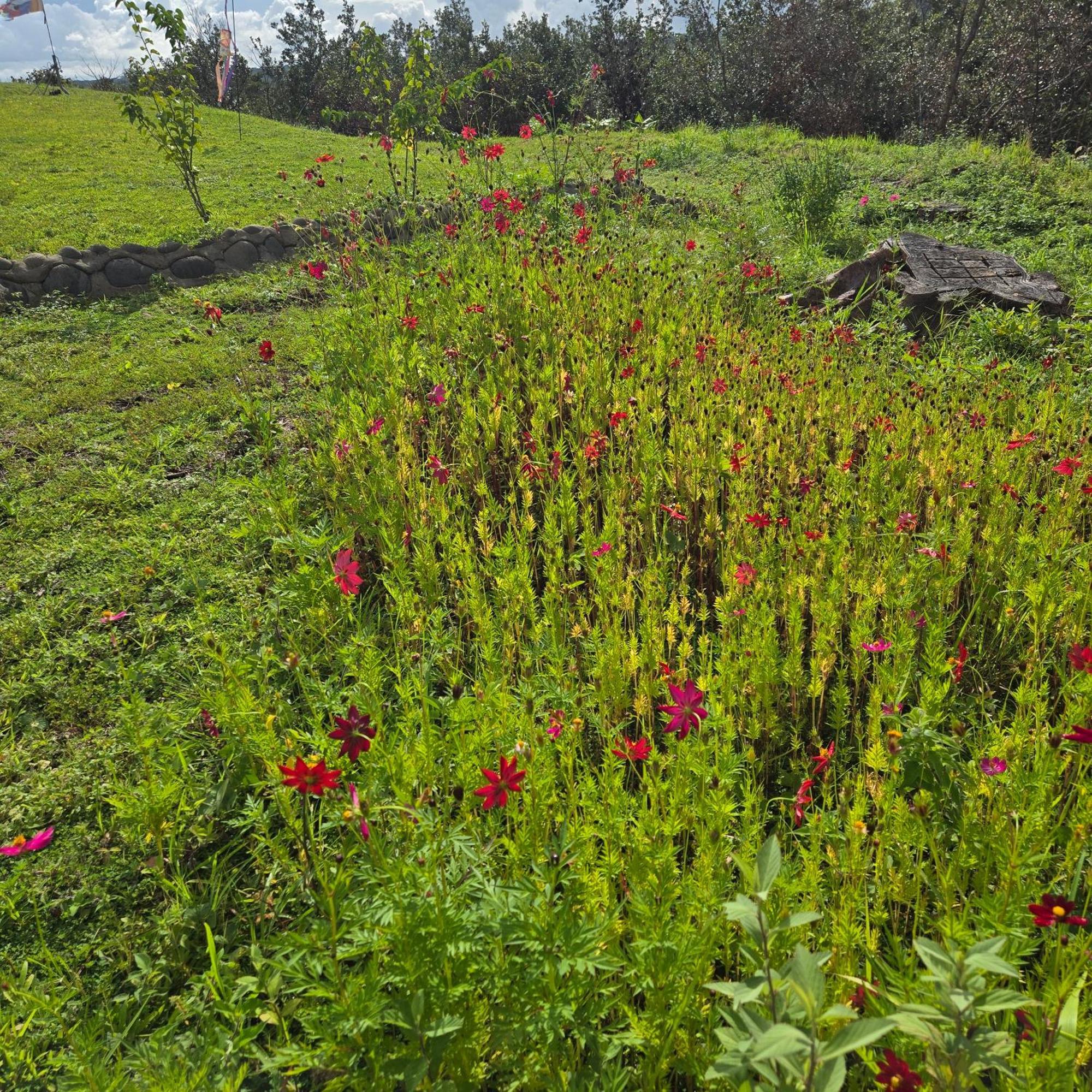 Hacienda En Los Volcanes Guayabo  Exterior foto
